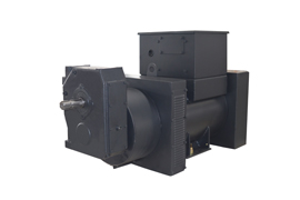 IP44 Special Customized Generator TCU228 50/5313kVA，400/480V，50/60Hz，4Pole