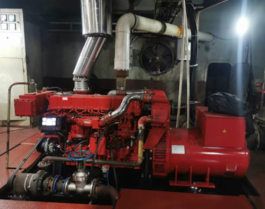 Marine generator applied to the vessel
